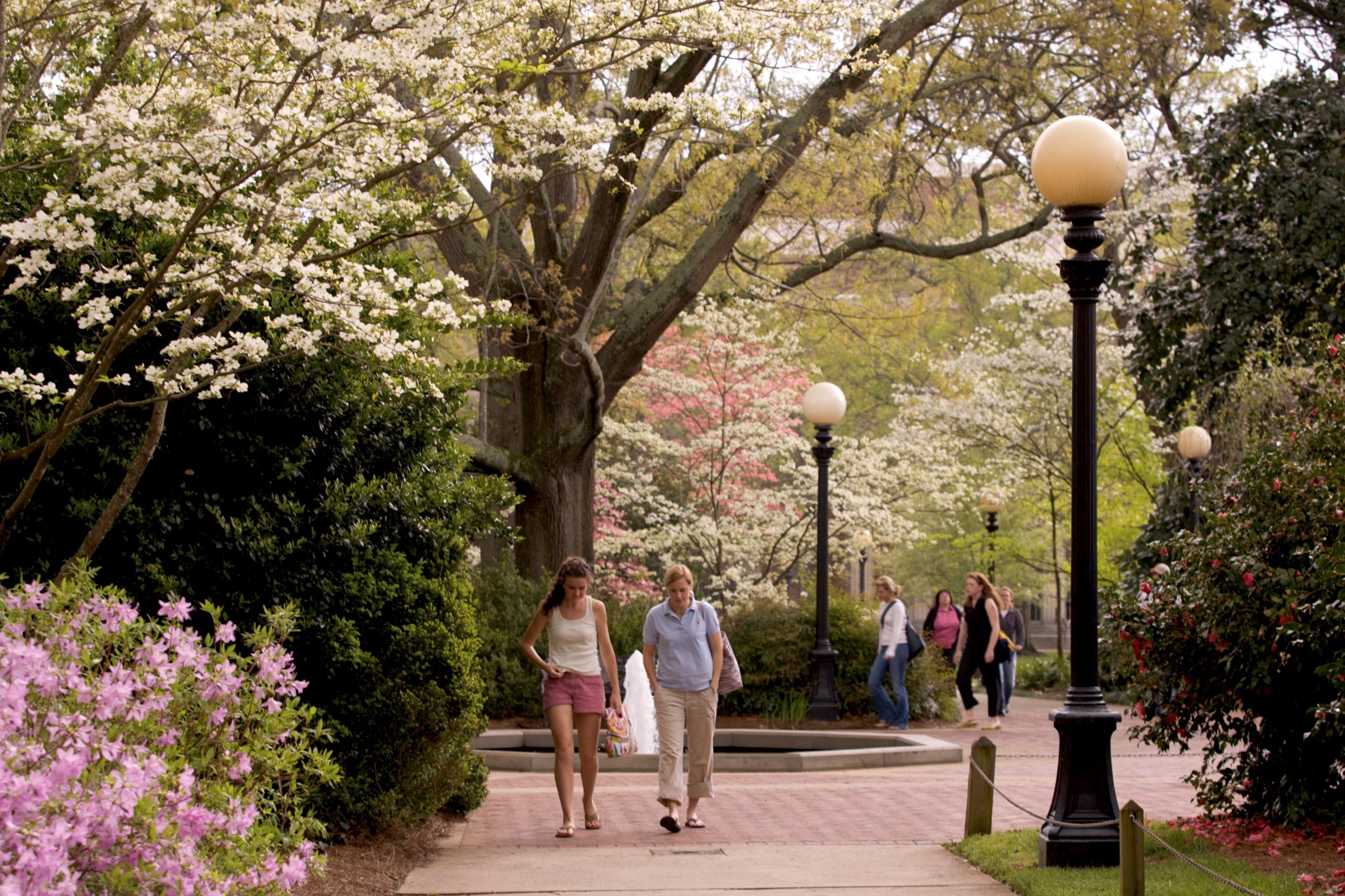uga campus with people walking together