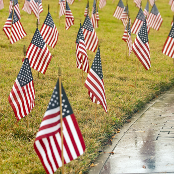 american flags at a memorial